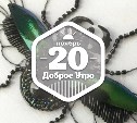 Вышитые насекомые в доброутреннем с конкурсом)