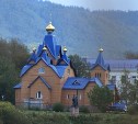 Птицы сентября