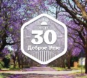 Палисандр в доброутреннем с конкурсом)