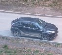 Созерцание природы против помятых машин: жители Корсакова жалуются на опасное дерево