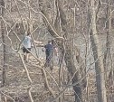 "Я не умру?": двое мужчин спасли девочку, которую уносило течением реки в Южно-Сахалинске