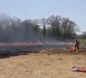 "Пожарили шашлычков": отдыхающие на Сахалине спасали автомобили из-за пожара на поляне с сухой травой