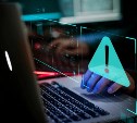 Появилась новая схема обмана: мошенники предлагают сдать налоговую декларацию по ссылке