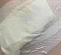 На площади Победы в Южно-Сахалинске стая собак напала на 11-летнюю девочку
