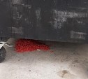 В Южно-Сахалинске предупреждают о появлении отравы на улицах