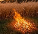 В Макарове на берегу моря тушили горящую траву