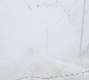 На участке трассы от Старорусского до Взморья ограничили движение всех видов транспорта