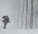 Сахалинскую область ожидает метель и ураган
