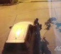 Владельцы собак на Сахалине заплатят 300 тысяч рублей за нападения их питомцев на детей