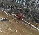 Спасатели пятый день ищут охотника в Смирныховском районе